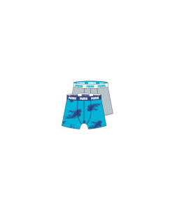 Boxer Short Fashion 2013 NEW STYLES 2-Pack Puma L Raster white- blau weiß