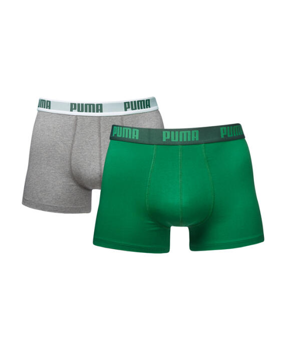 Puma Short 2-Pack Basic amazon green 075
