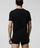 LACOSTE 2er Pack V-Neck T-Shirt Colours schwarz L
